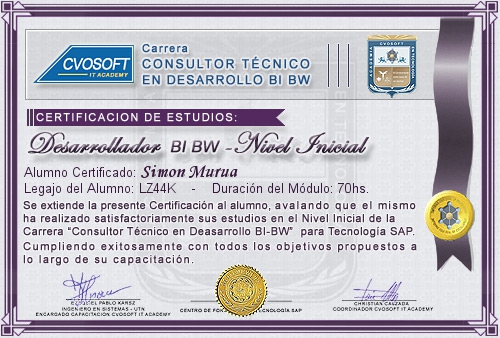 Certificaci�n de estudios en Carrera Consultor SAP BI / BW BO Nivel Inicial