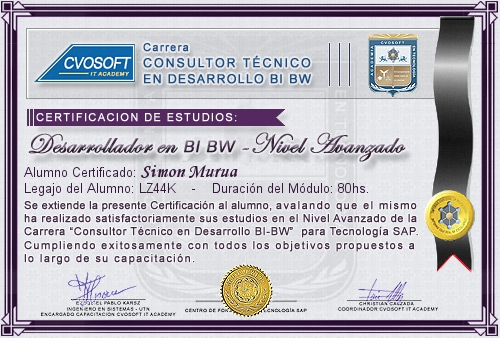 Certificaci�n de estudios en Carrera Consultor SAP BI / BW BO Nivel Avanzado