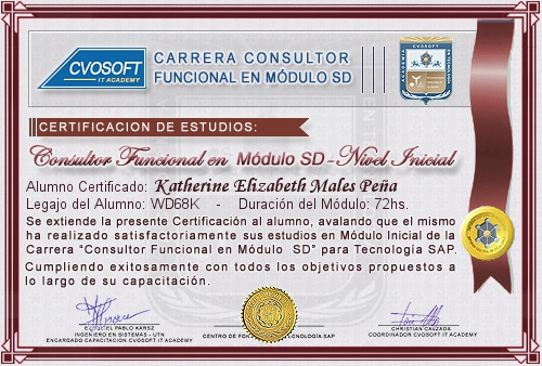 Certificaci�n de estudios en Carrera Consultor SAP SD Nivel Inicial