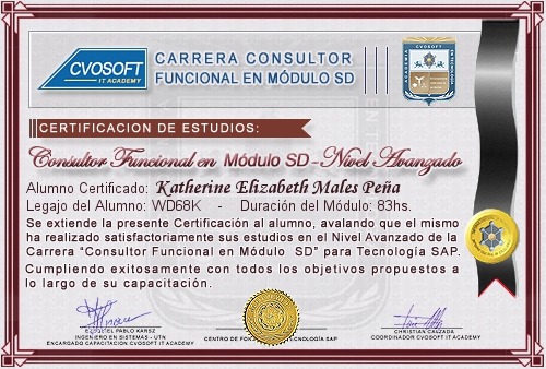 Certificaci�n de estudios en Carrera Consultor SAP SD Nivel Avanzado