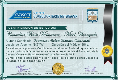 Certificaci�n de estudios en Carrera Consultor SAP BASIS NetWeaver Nivel Avanzado
