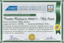 Certificación en Carrera Consultor SAP FI Nivel Inicial