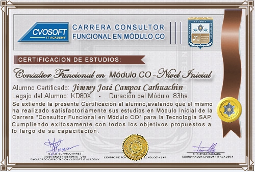 Certificaci�n de estudios en Carrera Consultor SAP CO Nivel Inicial