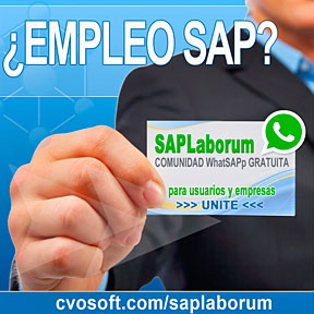 SAPLaborum: Consultoría, Networking laboral, búsqueda y postulación de empleo SAP
