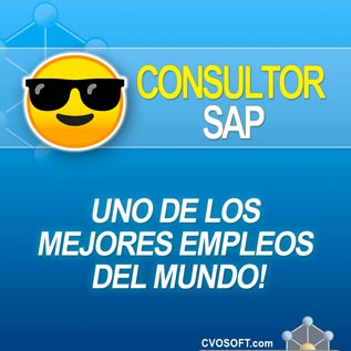 Consultor SAP - Uno de los mejores empleos del mundo
