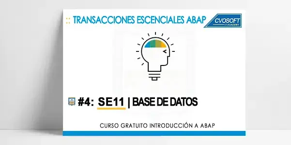 TCODES ABAP: SE11 - ACCESO A BASE DE DATOS