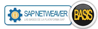 SAP BASIS NETWEAVER: Plataformas SAP