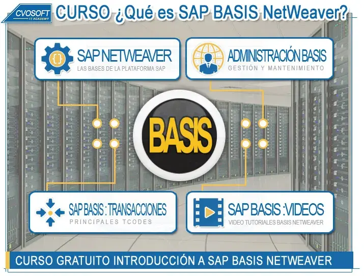 Curso Gratuito en SAP BASIS NETWEAVER