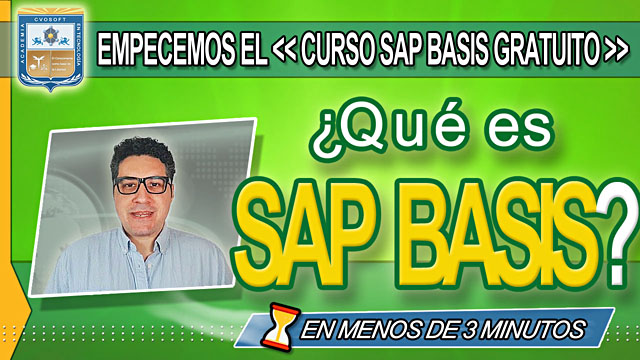 Curso SAP BASIS Introductorio Curso SAP BASIS Introductorio