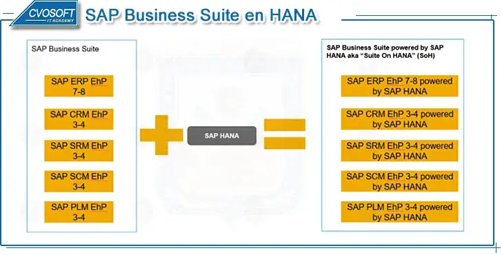 SAP Business Suite en HANA