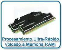 SAP HANA Vuelca a Memoria RAM la base de datos